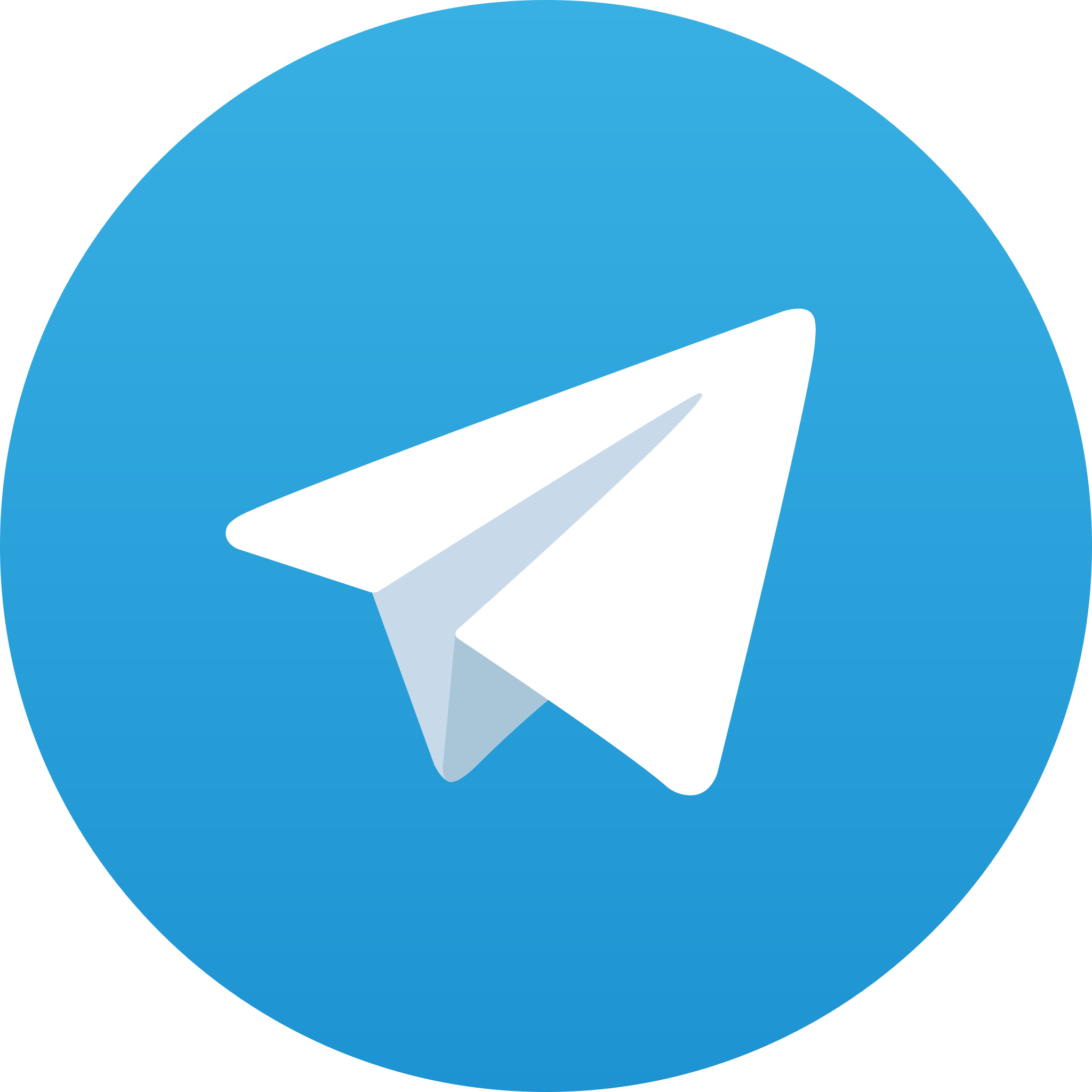 Telegram icon Chicken Road